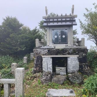 YAMAPではここが山頂になっており、暫く山頂標がないか探し回りました。