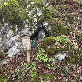 コース分岐や苔生した岩場だけでもなかなかの情報量ですがミニ八十八ケ所まであります