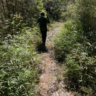 せせらぎ十字路！？

この一帯、水の流れが変わったのか！？

ビチャビチャです😅