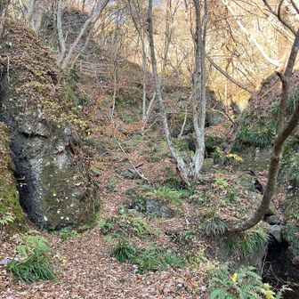 紅葉の時期だったらさぞかし美しいであろう…と思ってるところ🍁
