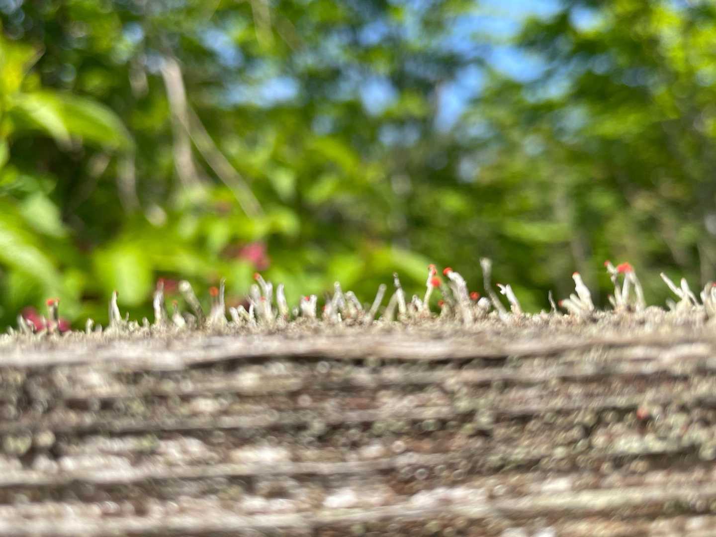 うまく撮れません