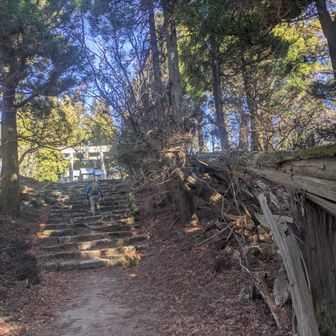 中津宮で再度安全祈願！