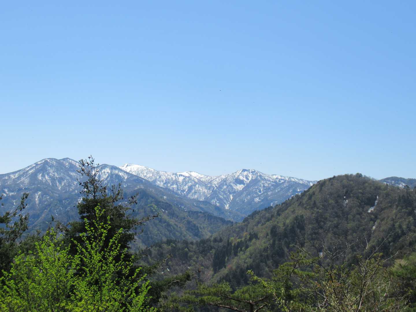 奥城山から見えるこの白いやつは白山で、中央右のデッパリは白山釈迦岳だ！
……と言っていたのは私だけで、その場にいた人たち全員が大日山だと言ってました( ;∀;)