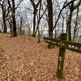 中ノ丸、今日の最高峰