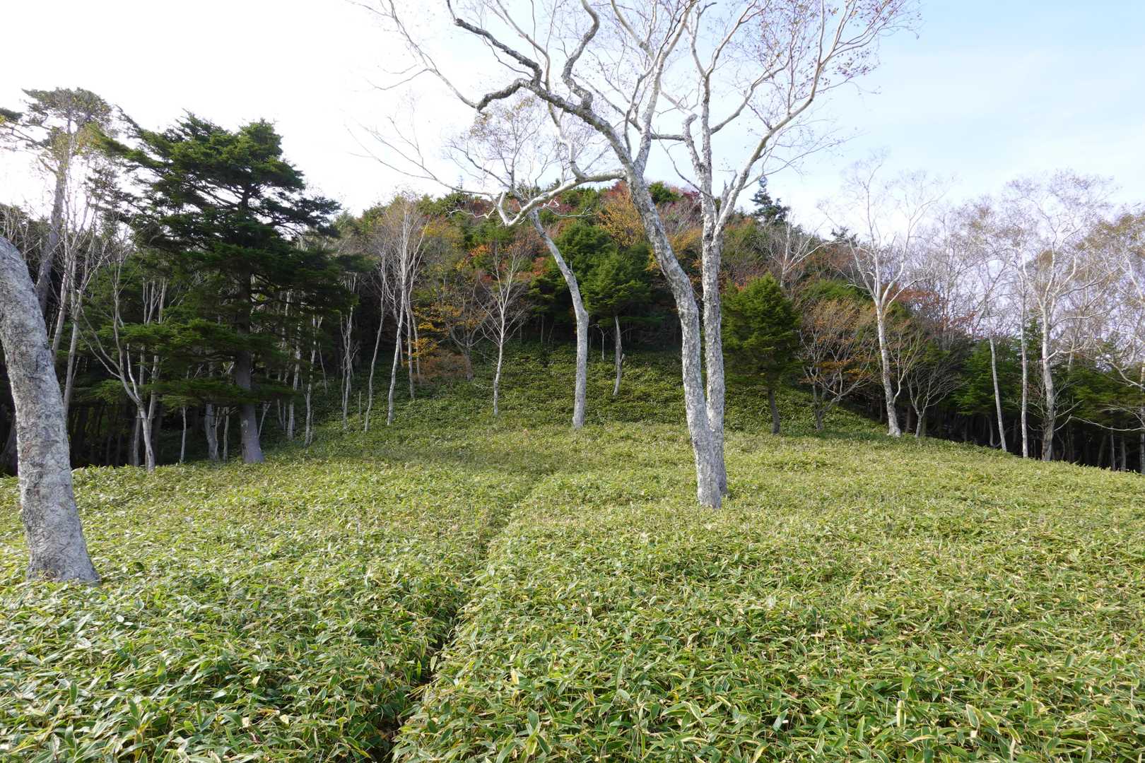 明瞭な所もあります