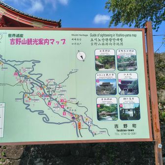 この辺りは中千本。まだまだ先は長い。。