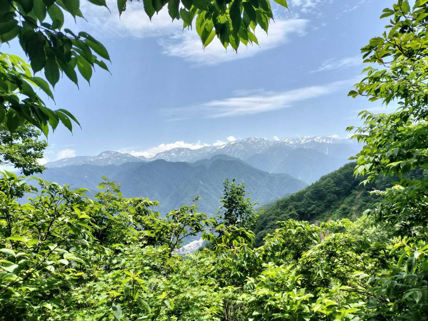 烏帽子山 往復コースの写真