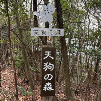 大谷山にもあったけど
素敵なプレート✨