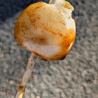 大吉…いよいよ人生が動き出したようだ笑
信じるものは救われるからな😁🙏