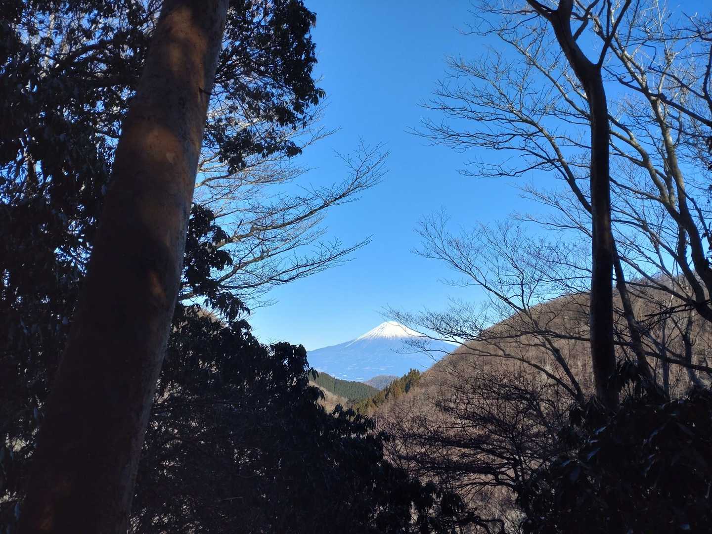 真富士神社から🗻