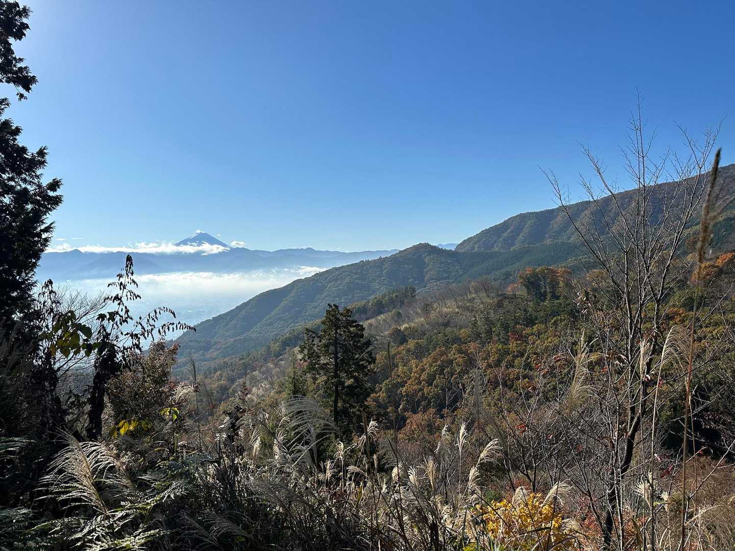 あ！富士山🗻！