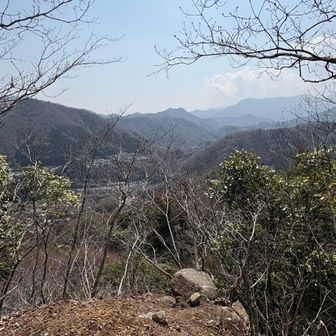 展望台から
いいですね〜