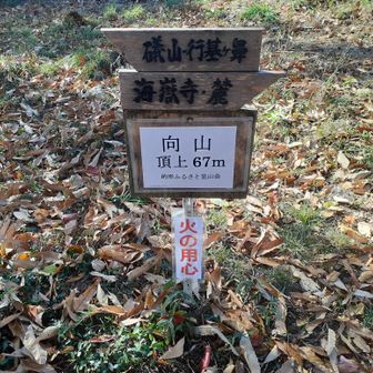 向山
ここも広い