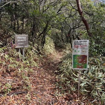 右は私有地なので立ち入り禁止