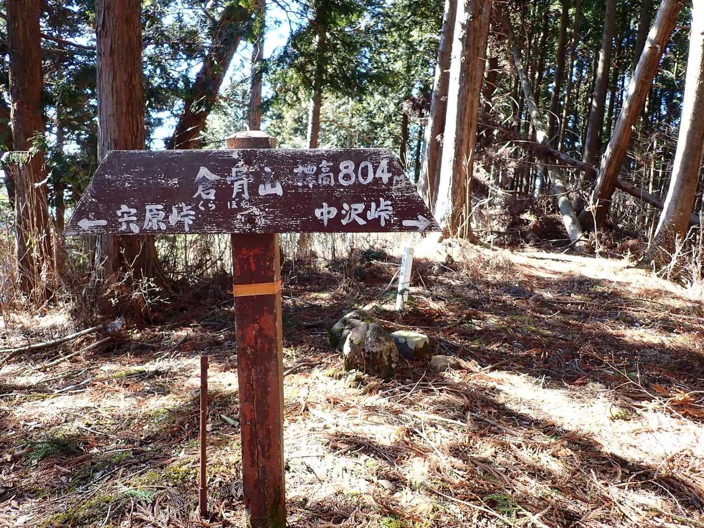 着きました⛰✨
宍原峠も行ってみたい。宍原峠や中沢峠から中河内に下るルートがあるはずなのだけど、情報が殆ど無い💦林道しかないのかなぁ？