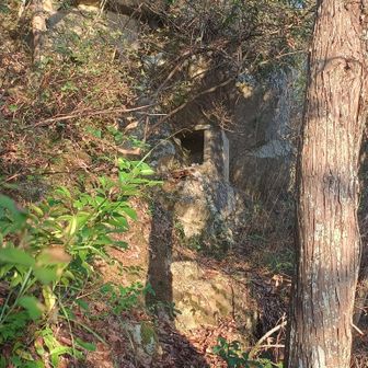 不動さんから違うルートを試みましたが、道がわからなくて引き返しました。