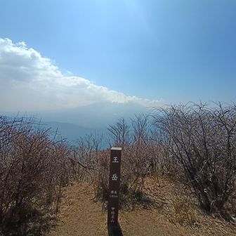 山頂お一人様！