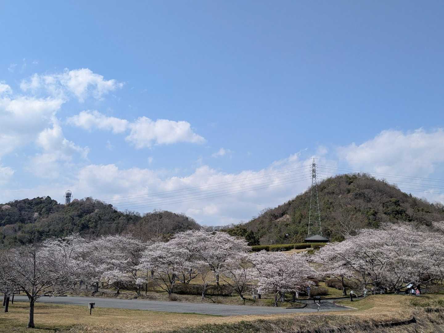 西山-鴨國魂神社 往復コースの写真