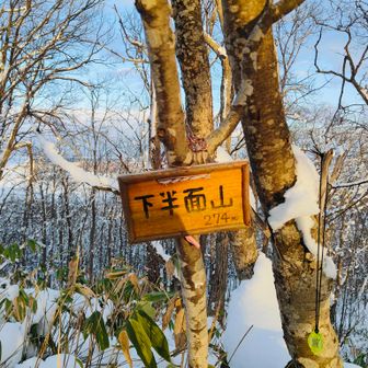 ニトリル手袋をしてると、スマホの指紋認証が使えない。そりゃそうだ。そのくらいはわかっていたので、山行前にスマホの認証機能を解除したかったのだが、その方法がパッと見わからず。
顔認証もサングラスかけているとなかなか反応せず、1枚目の写真が下半面山というおち。
ちなみに標識右の枝にひっかかっている落とし物は、約1ヶ月前にこの山頂手前に落ちてたのを分かりやすくここまで持ってきたものです。