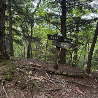 岩場の急斜面がメインの山かつ距離も短いルートなのでトレッキングポールは持たず、水も2.5リットルで登山開始、ところがめちゃ暑く、富士見平小屋までの登りで既に滝汗、水も1リットル近く飲んでしまいました。富士見平小屋の手前の水場で水を補給したのですがこの先かなり心配。。。