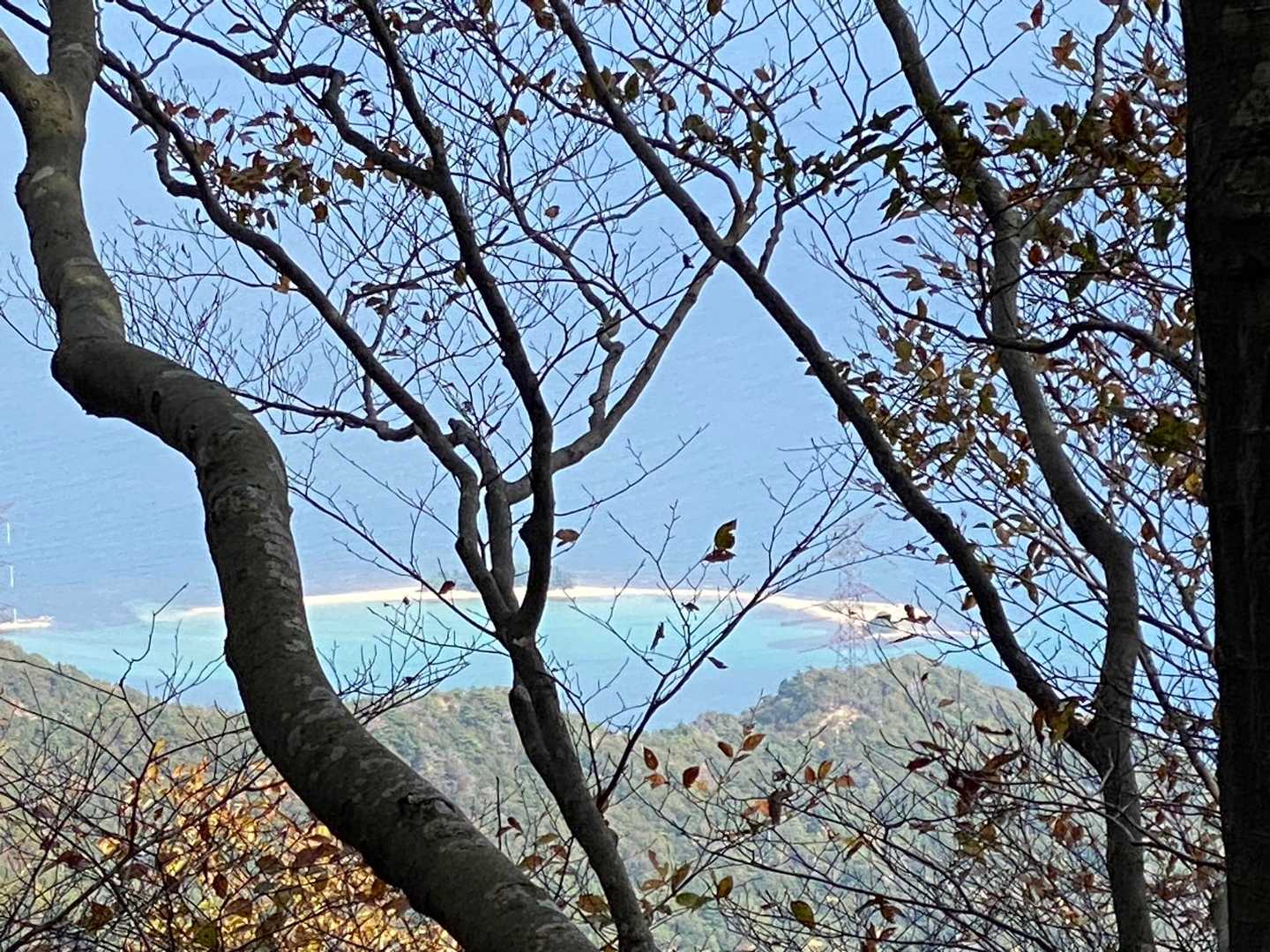 水島見えました。
エメラルド色の海