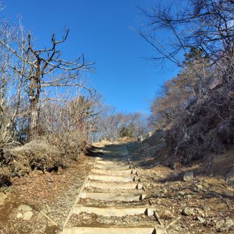 開運！開運！開運！
三ツ峠山山頂もうすぐ