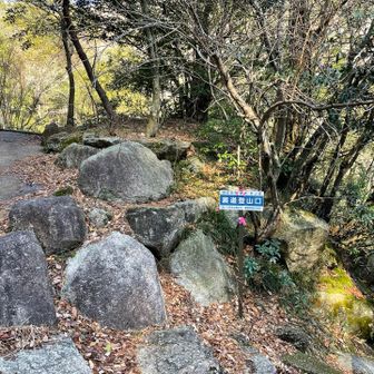 登山口到着です