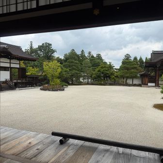 仁和寺本殿へ
４年前は一部修復中でした
受付で話していたら、こちらが仁和寺のメインだ、と強く言われました…(^0^;)