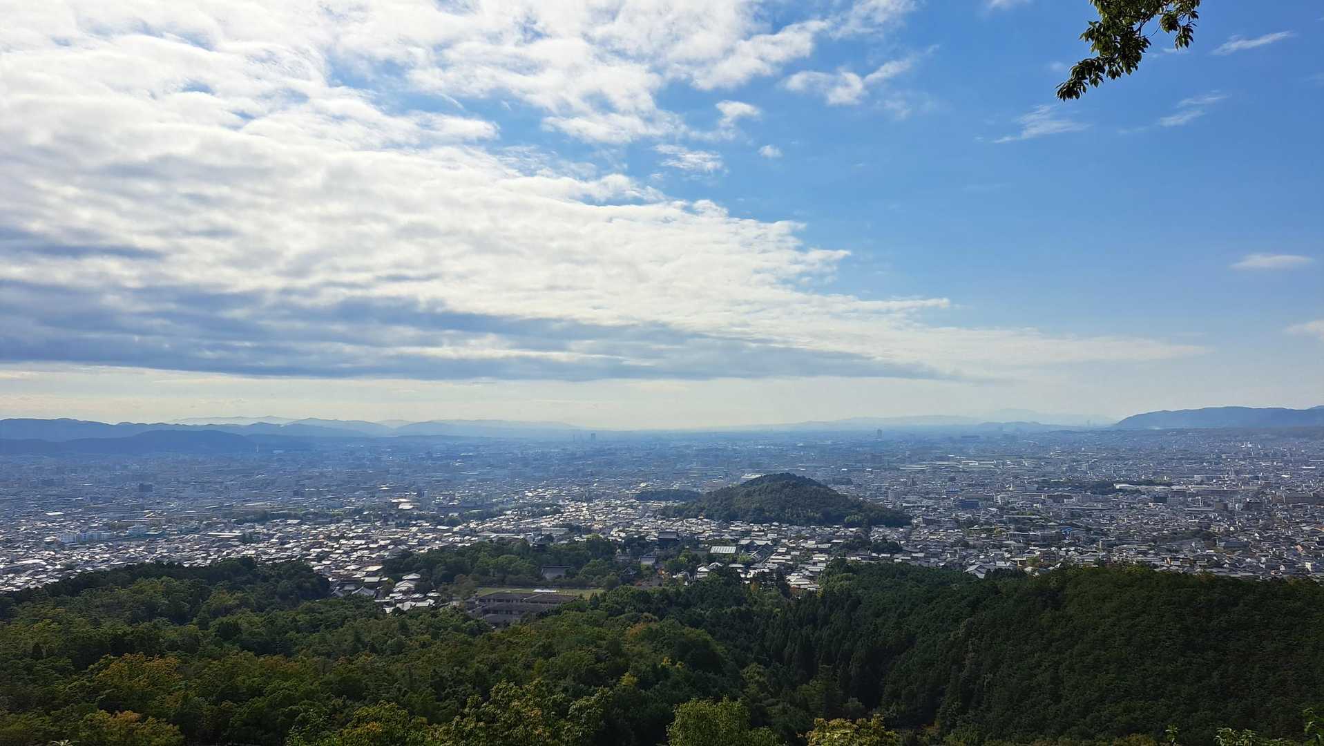今日は遠く梅田の辺りまで見えました