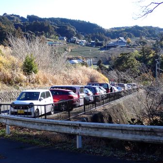 駐車場は満車でした