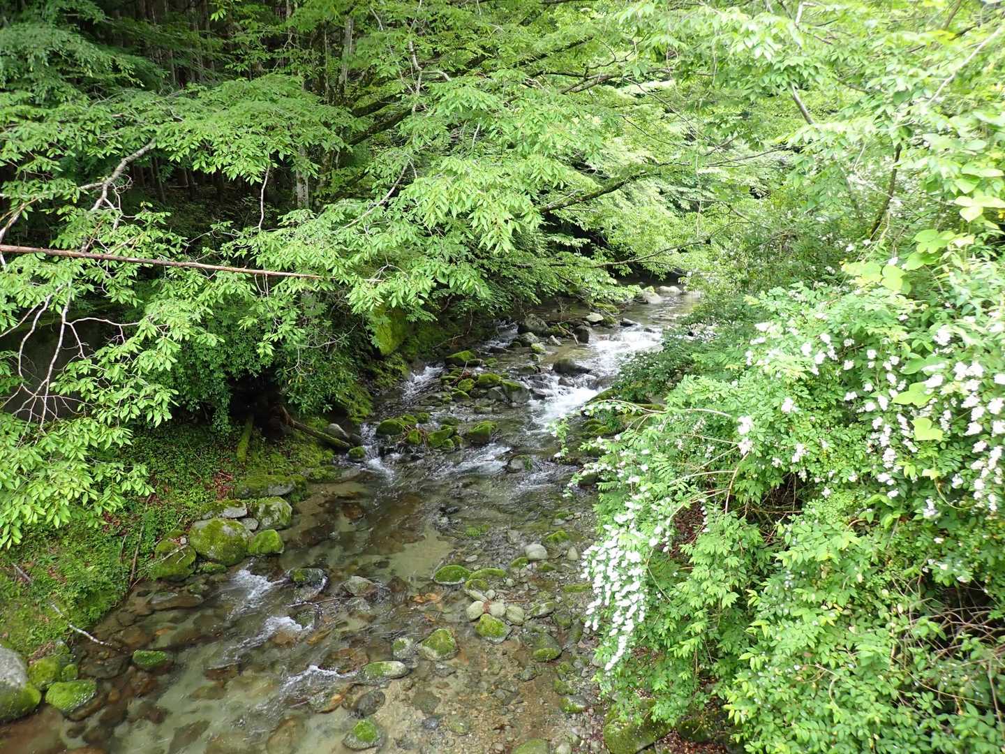
きれいな川を渡ります