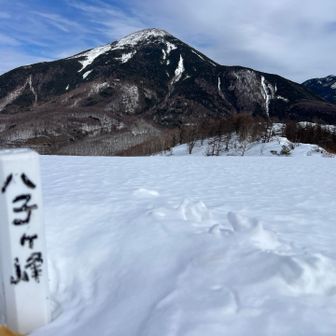 行き道では知らずに西峰を通過してたので、帰りに辺りを探すと足元に小さな標識。