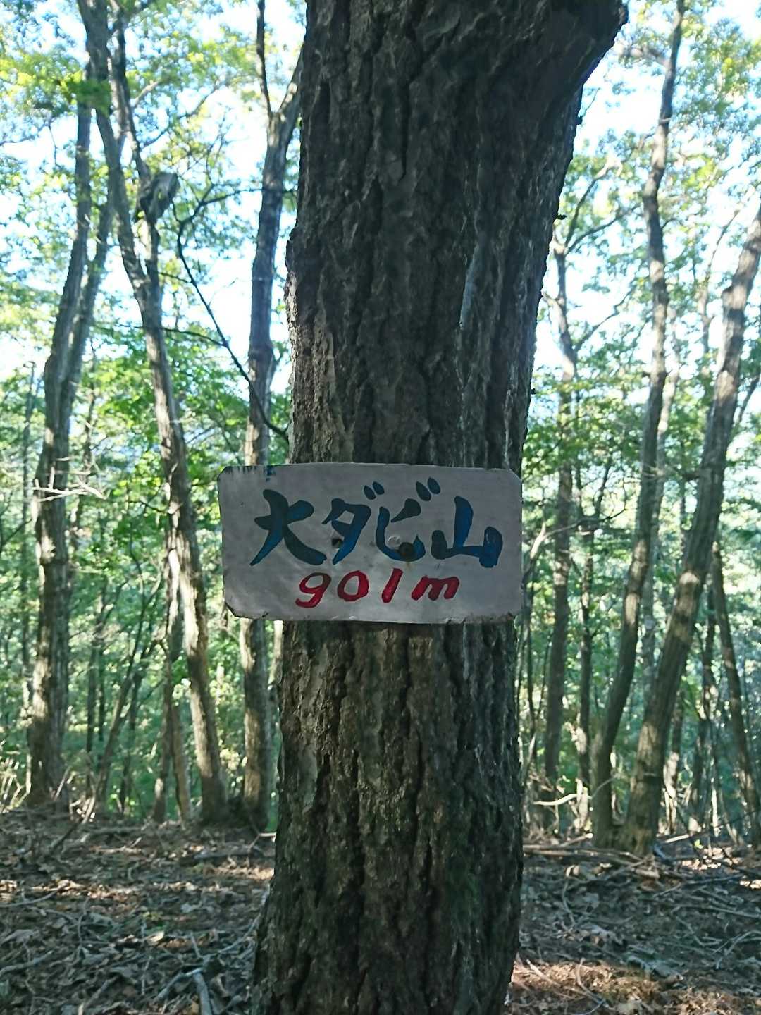 ２座目　大ダビ山▲