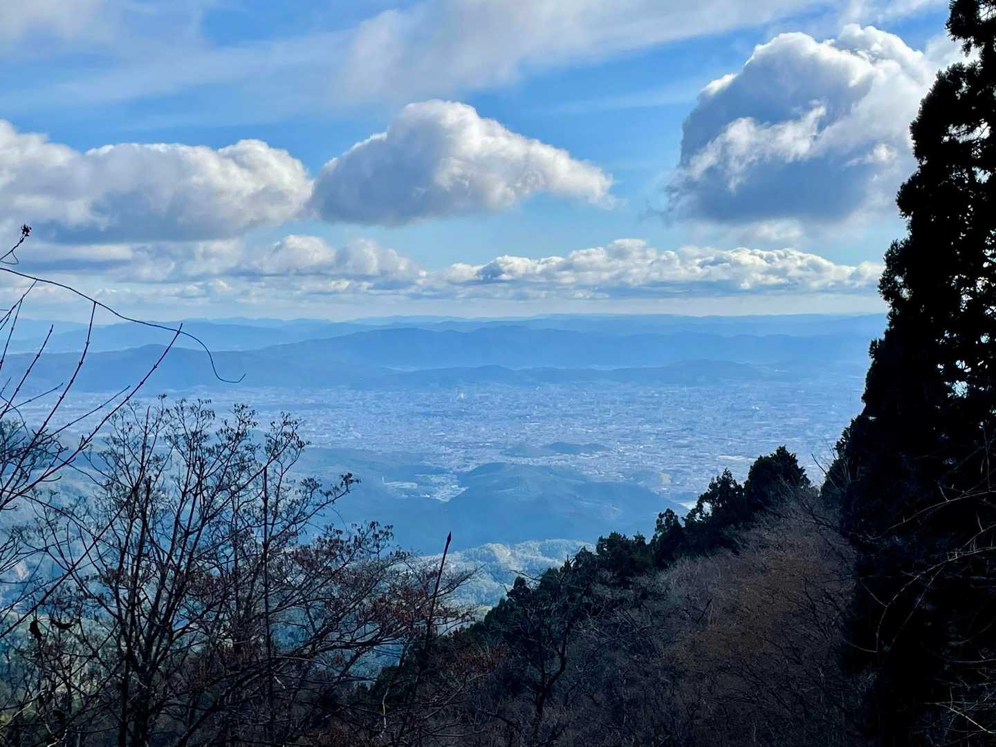 京都タワー見えました🗼