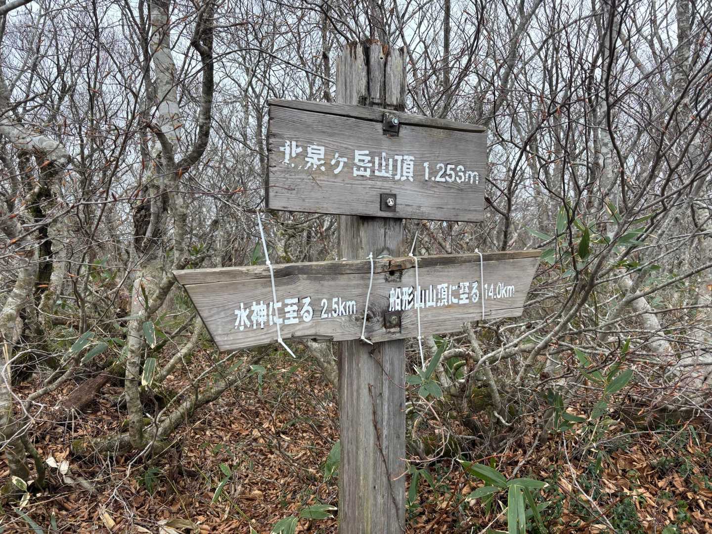 お分れ峠-泉ヶ岳-北泉ヶ岳 周回コースの写真