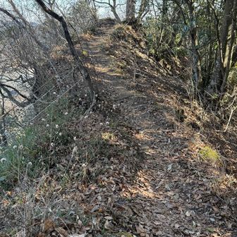 ここも怖かった…