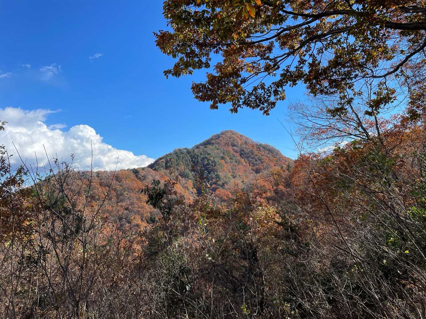 牛伏山かな？