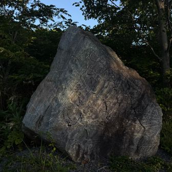 標柱無いけど山頂ちゃく