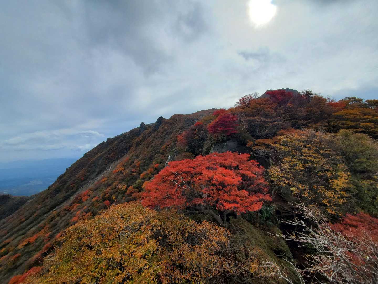 男池登山口-ソババッケ-大戸越-北大船山-大船山-御池-男 周回コースの写真