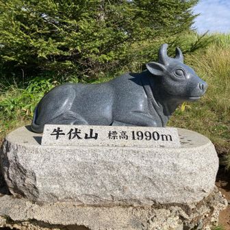 牛さんの山