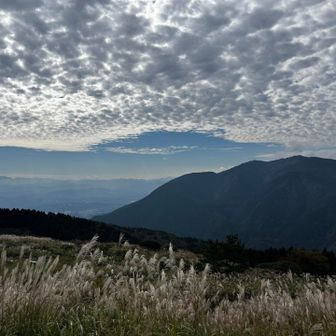 金剛山が見えています