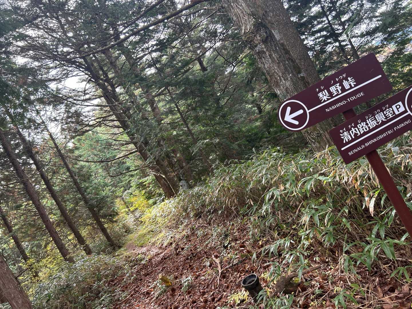 でぶひげは　梨野峠　に　むかった。