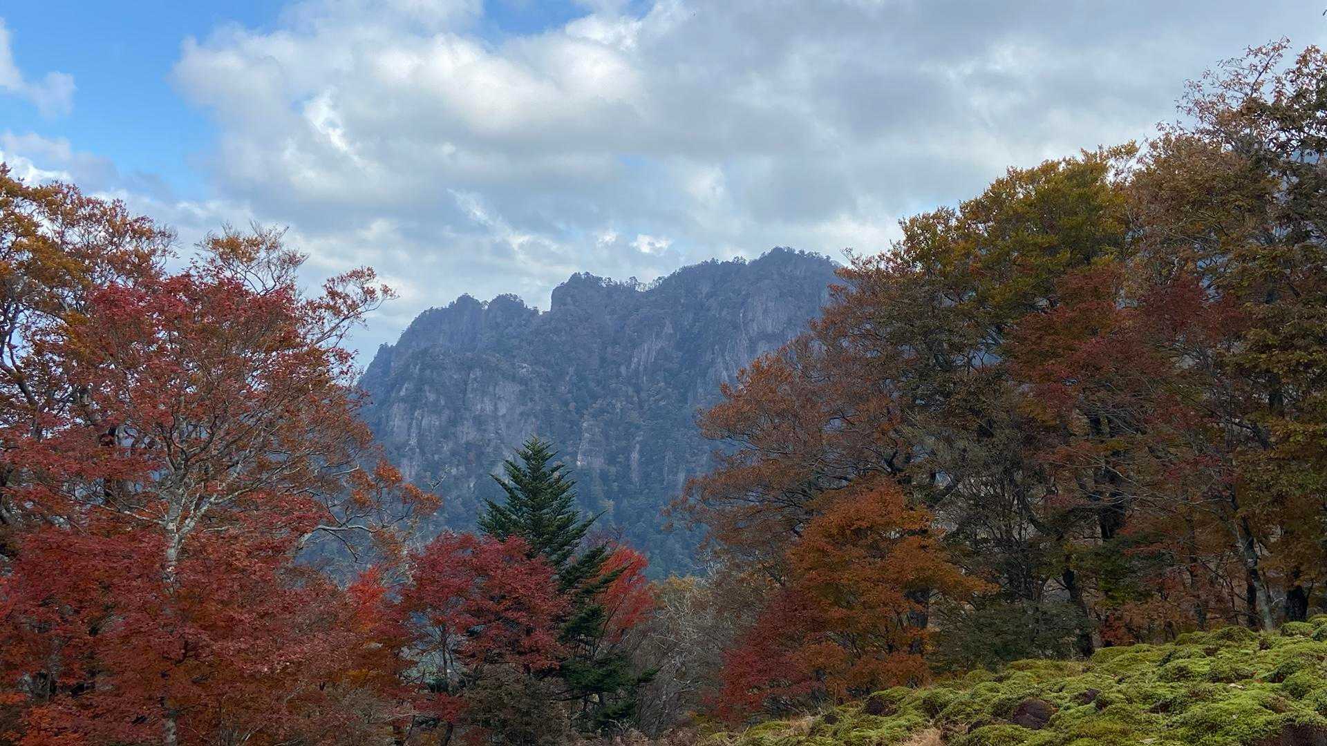 紅葉の合間から🍁
傾山の岩峰を拝めて✨
テンション上がりました😃‼︎