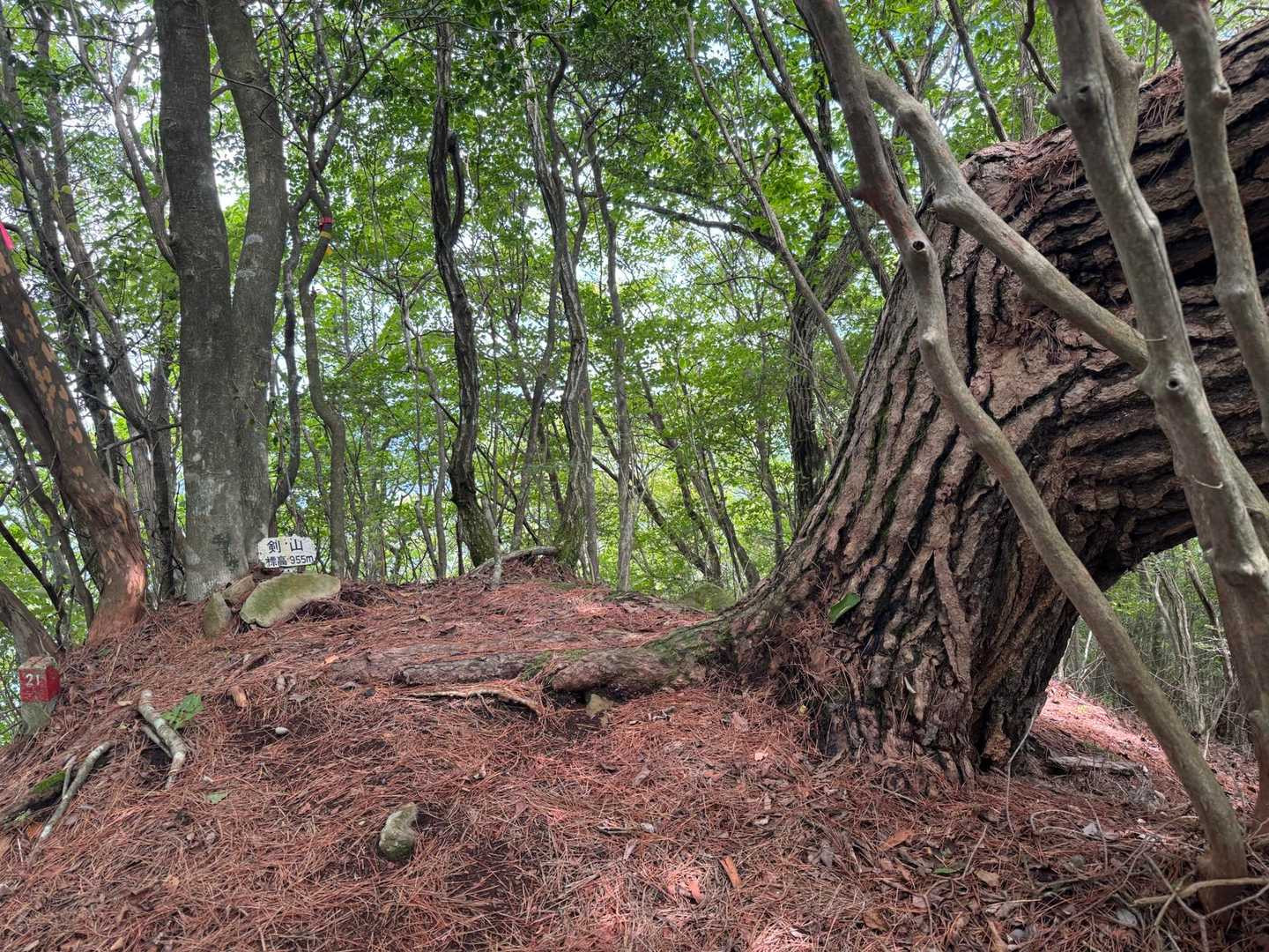 剣山