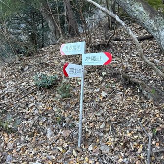 ちょっと左に寄り道