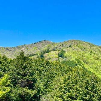 見晴台からの大山山頂