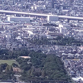 深北緑地と第ニ京阪道が見えています✨