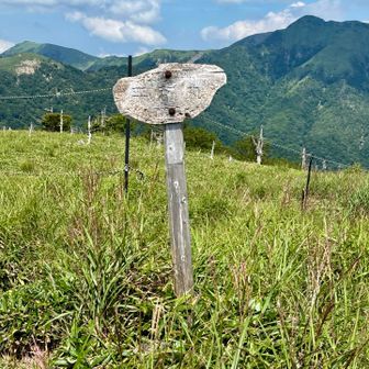 4座目🙌平和丸。