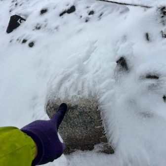 北山ポチ👉