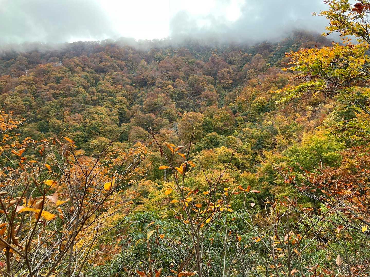 越沢登山口-摩耶山 周回コースの写真